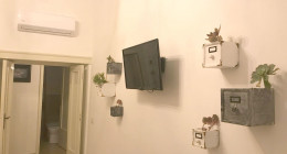 2018-04-01-PHOTO-00000958